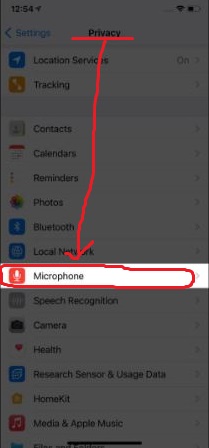 Microphone Access