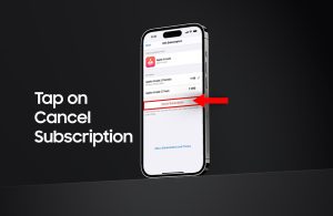 Click on the “Subscription” option
